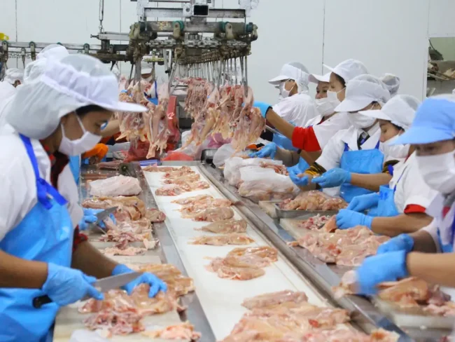 thailand-chicken-meat Thai Chicken Exports